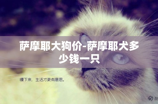 薩摩耶大狗價-薩摩耶犬多少錢一只