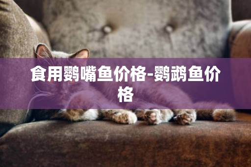 食用鸚嘴魚價格-鸚鵡魚價格