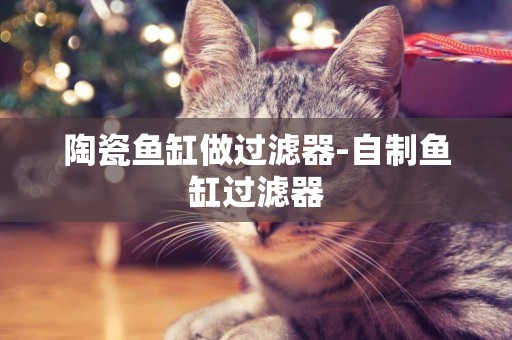 陶瓷魚缸做過濾器-自制魚缸過濾器