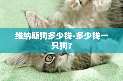 維納斯狗多少錢-多少錢一只狗？
