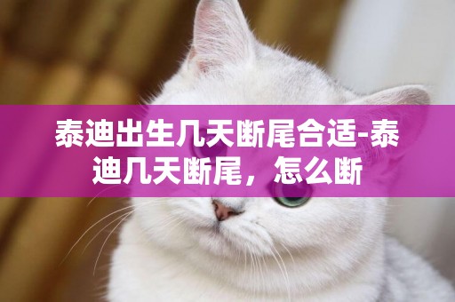 泰迪出生幾天斷尾合適-泰迪幾天斷尾，怎么斷