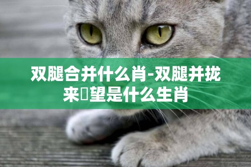 雙腿合并什么肖-雙腿并攏來暸望是什么生肖