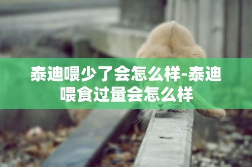 泰迪喂少了會怎么樣-泰迪喂食過量會怎么樣