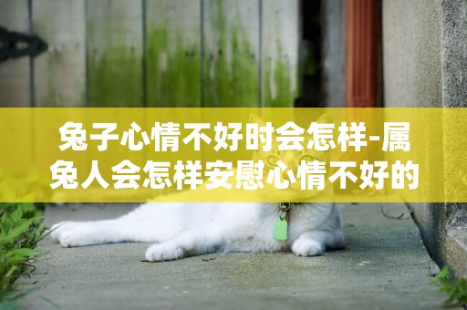 兔子心情不好時會怎樣-屬兔人會怎樣安慰心情不好的朋友