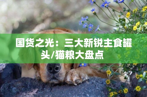 國貨之光：三大新銳主食罐頭/貓糧大盤點 