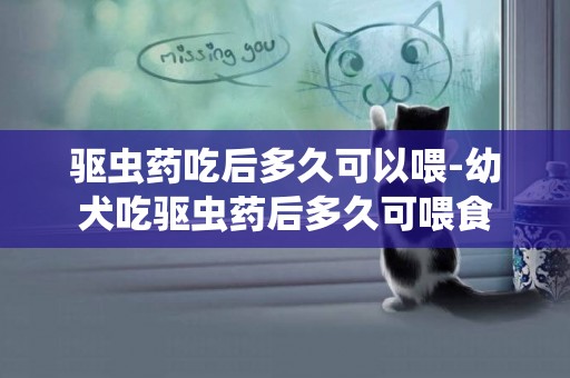 驅蟲藥吃后多久可以喂-幼犬吃驅蟲藥后多久可喂食