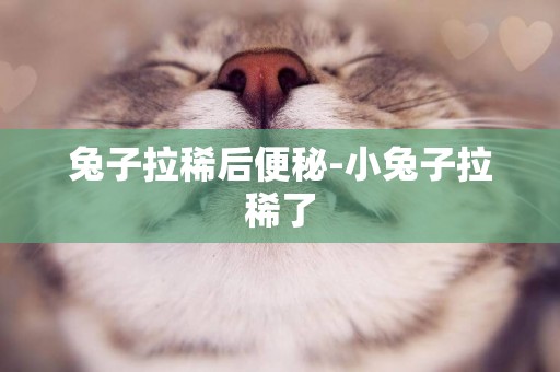 兔子拉稀后便秘-小兔子拉稀了