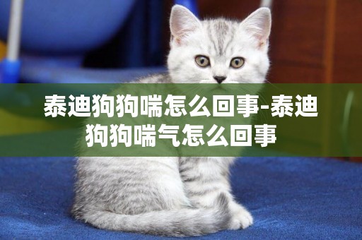 泰迪狗狗喘怎么回事-泰迪狗狗喘氣怎么回事