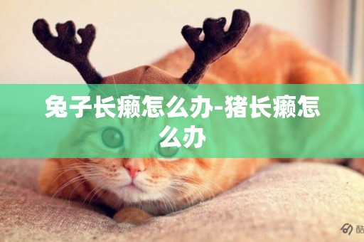 兔子長癩怎么辦-豬長癩怎么辦