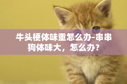 牛頭梗體味重怎么辦-串串狗體味大，怎么辦？