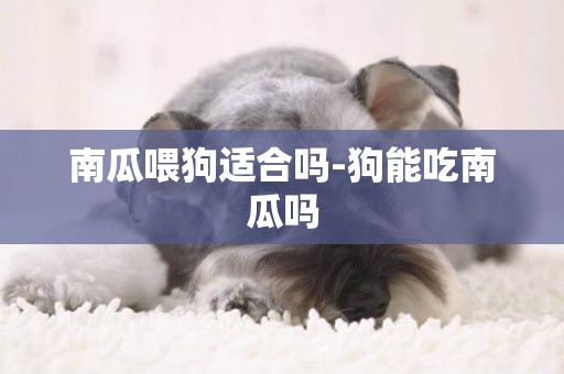 南瓜喂狗適合嗎-狗能吃南瓜嗎