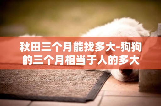 秋田三個月能找多大-狗狗的三個月相當于人的多大