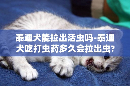 泰迪犬能拉出活蟲嗎-泰迪犬吃打蟲藥多久會拉出蟲?