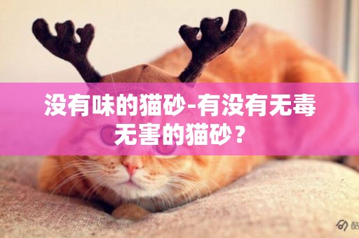沒有味的貓砂-有沒有無毒無害的貓砂？