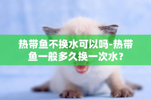 熱帶魚不換水可以嗎-熱帶魚一般多久換一次水？