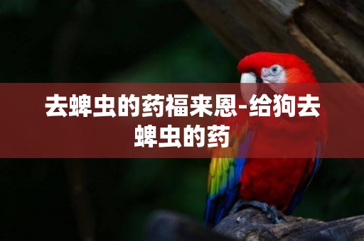 去蜱蟲的藥福來恩-給狗去蜱蟲的藥