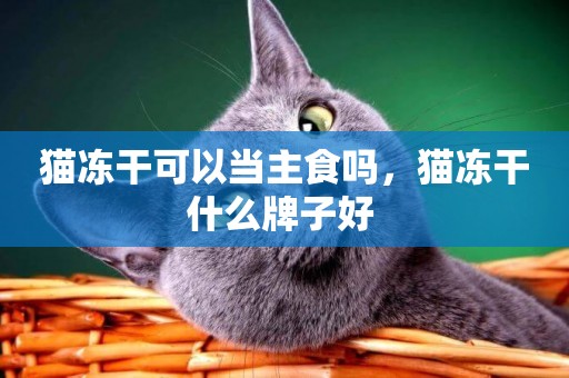 貓凍干可以當主食嗎，貓凍干什么牌子好 