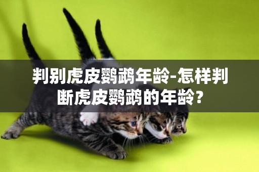 判別虎皮鸚鵡年齡-怎樣判斷虎皮鸚鵡的年齡？