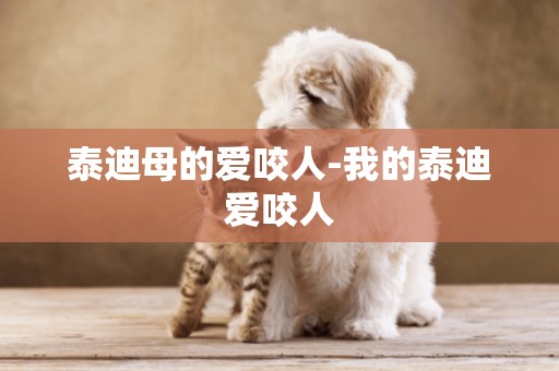 泰迪母的愛咬人-我的泰迪愛咬人