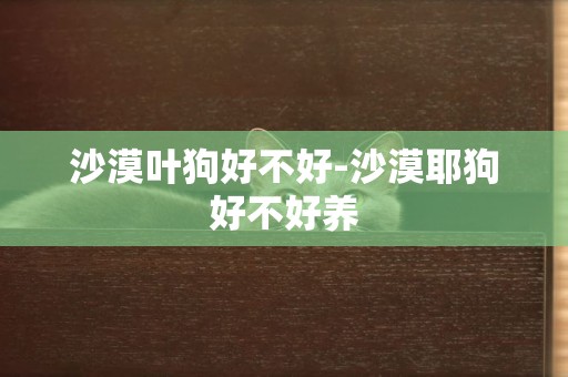 沙漠葉狗好不好-沙漠耶狗好不好養