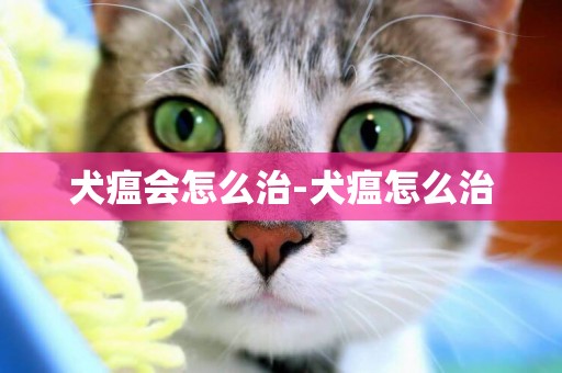 犬瘟會怎么治-犬瘟怎么治