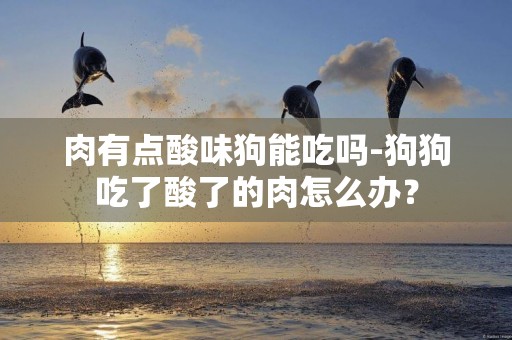 肉有點酸味狗能吃嗎-狗狗吃了酸了的肉怎么辦？