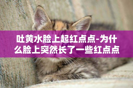吐黃水臉上起紅點點-為什么臉上突然長了一些紅點點？？？