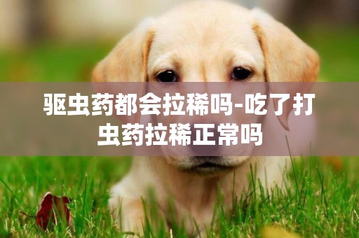 驅蟲藥都會拉稀嗎-吃了打蟲藥拉稀正常嗎