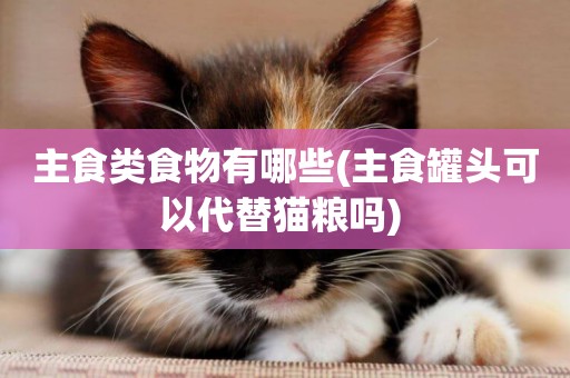 主食類食物有哪些(主食罐頭可以代替貓糧嗎) 
