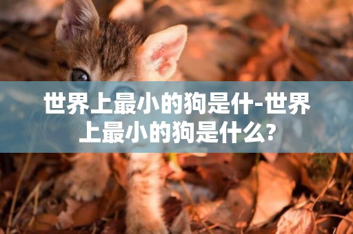 世界上最小的狗是什-世界上最小的狗是什么?
