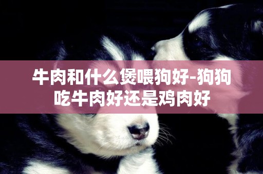牛肉和什么煲喂狗好-狗狗吃牛肉好還是雞肉好