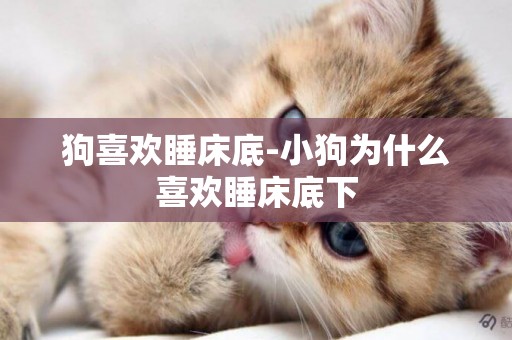 狗喜歡睡床底-小狗為什么喜歡睡床底下