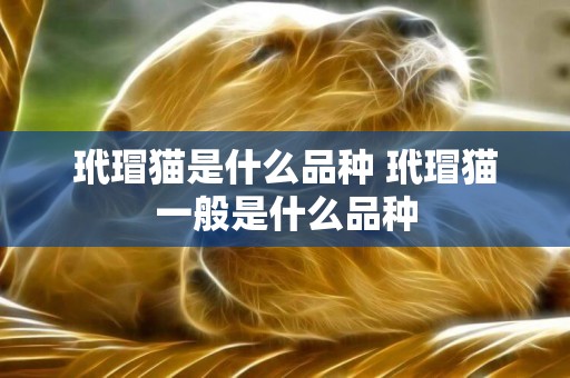 玳瑁貓是什么品種 玳瑁貓一般是什么品種