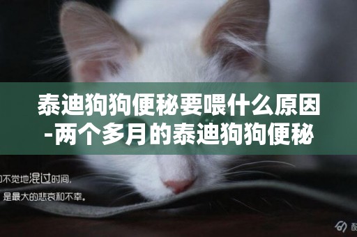 泰迪狗狗便秘要喂什么原因-兩個多月的泰迪狗狗便秘怎么辦