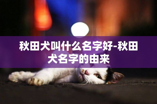 秋田犬叫什么名字好-秋田犬名字的由來