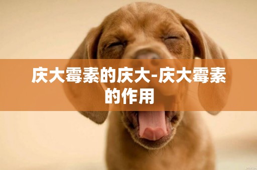 慶大霉素的慶大-慶大霉素的作用