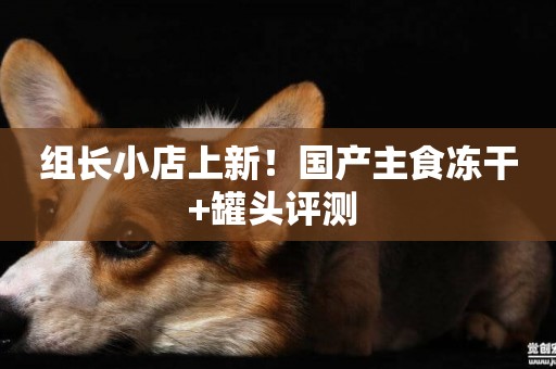 組長小店上新！國產主食凍干+罐頭評測 