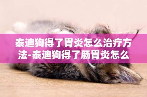 泰迪狗得了胃炎怎么治療方法-泰迪狗得了腸胃炎怎么辦