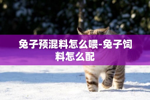 兔子預混料怎么喂-兔子飼料怎么配