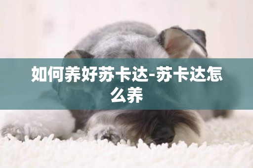 如何養好蘇卡達-蘇卡達怎么養