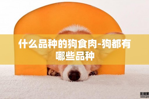 什么品種的狗食肉-狗都有哪些品種