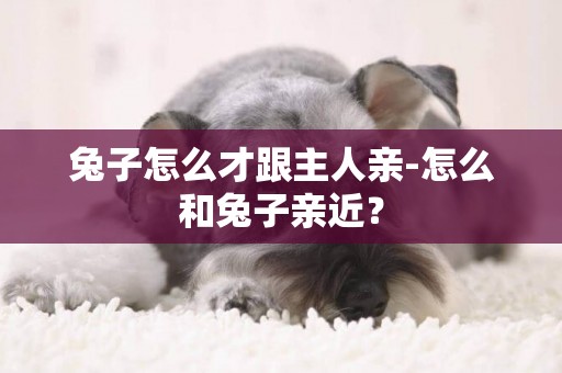 兔子怎么才跟主人親-怎么和兔子親近？
