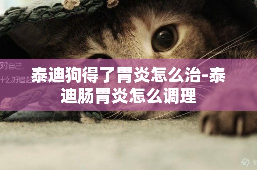 泰迪狗得了胃炎怎么治-泰迪腸胃炎怎么調理
