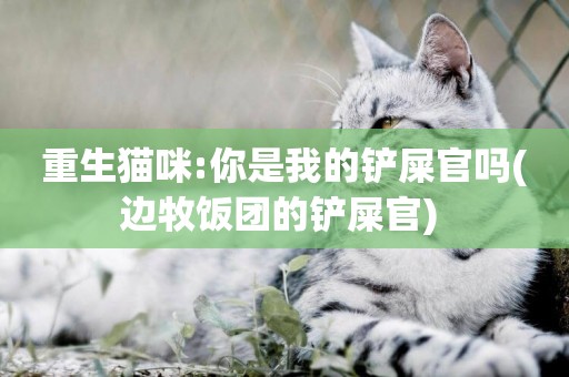 重生貓咪:你是我的鏟屎官嗎(邊牧飯團的鏟屎官) 
