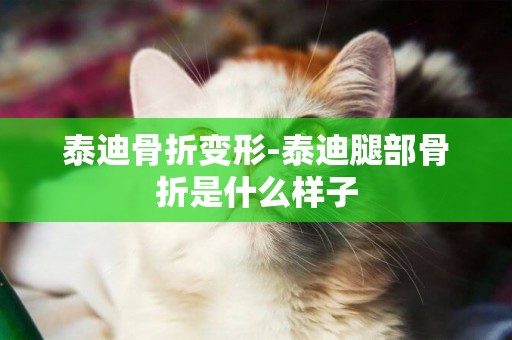 泰迪骨折變形-泰迪腿部骨折是什么樣子