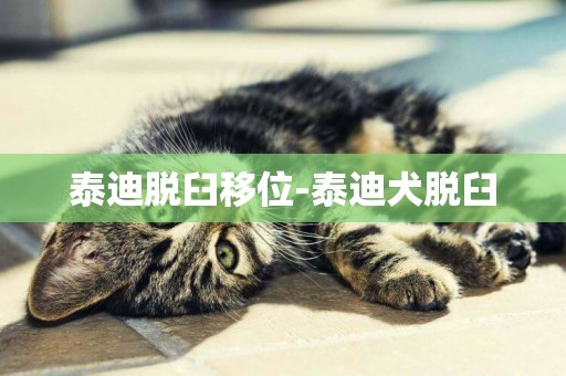 泰迪脫臼移位-泰迪犬脫臼
