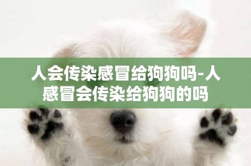 人會傳染感冒給狗狗嗎-人感冒會傳染給狗狗的嗎