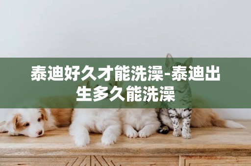 泰迪好久才能洗澡-泰迪出生多久能洗澡
