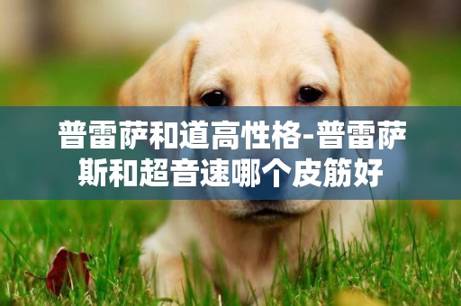 普雷薩和道高性格-普雷薩斯和超音速哪個皮筋好