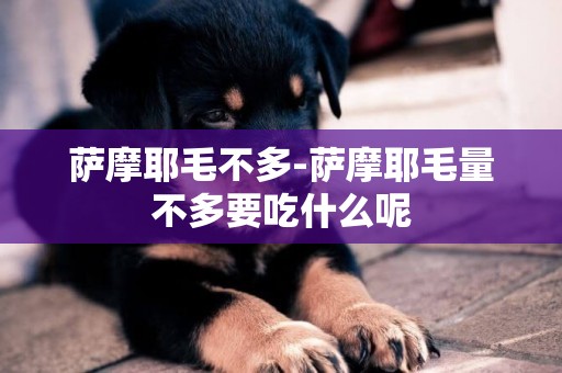 薩摩耶毛不多-薩摩耶毛量不多要吃什么呢